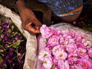 Roses in Madurai Flower Market