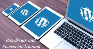 WordPress-Training